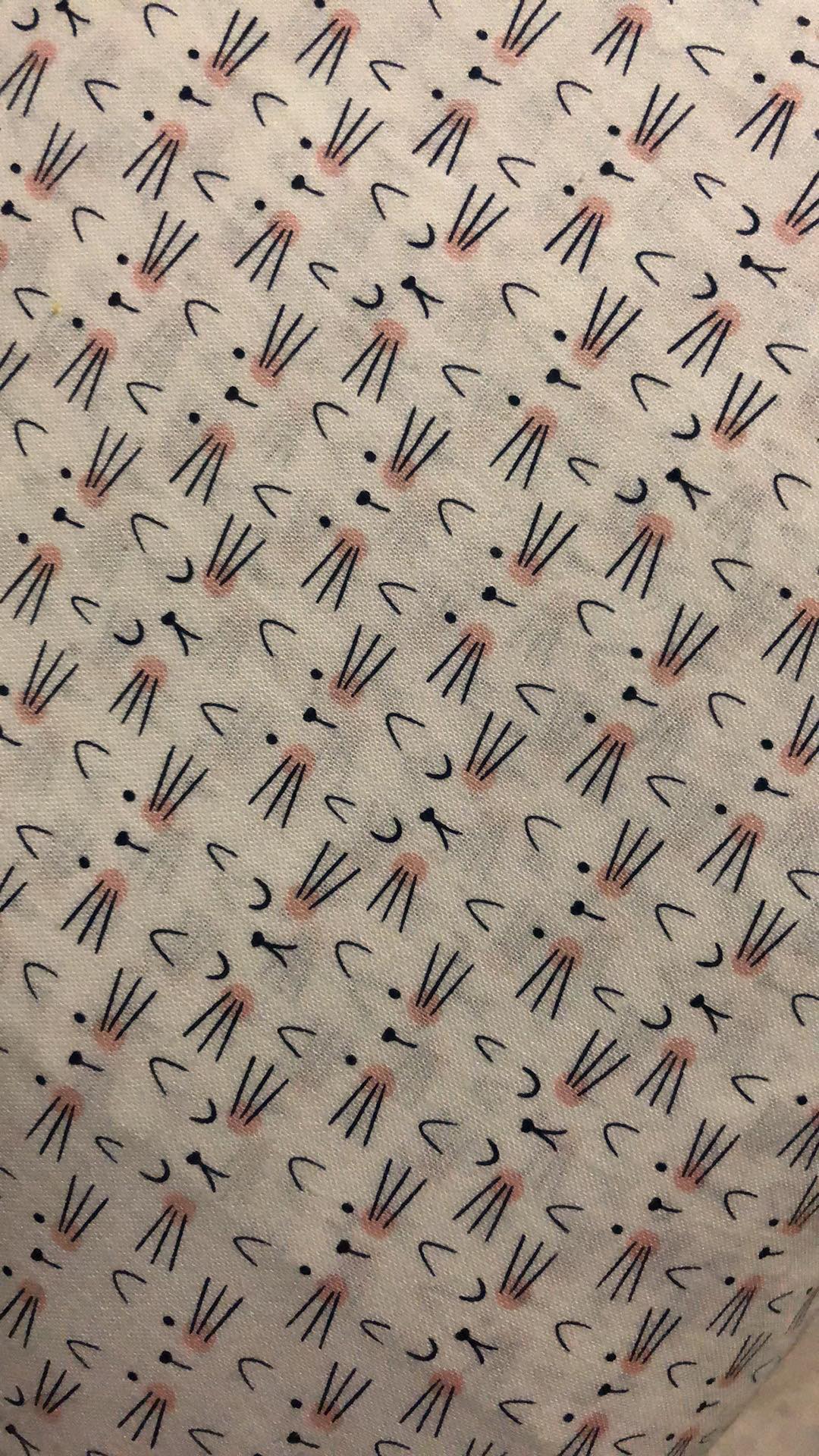 83192371_1076056589407653_5238884477823877120_n