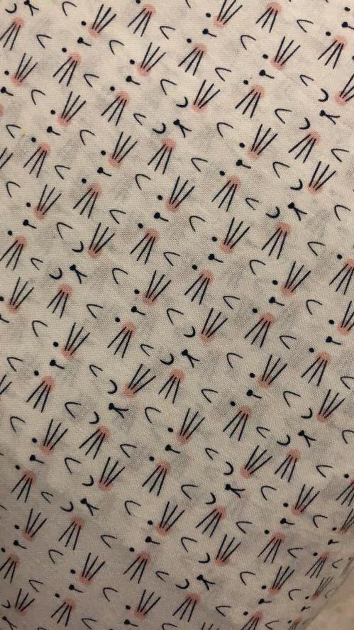 83192371_1076056589407653_5238884477823877120_n